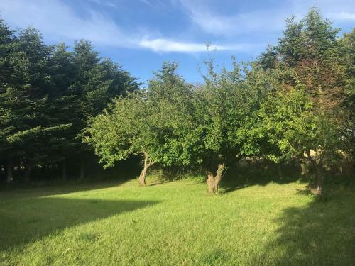 Sommerhus P� Mors