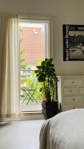 Apartmentincopenhagen Apartment 1498