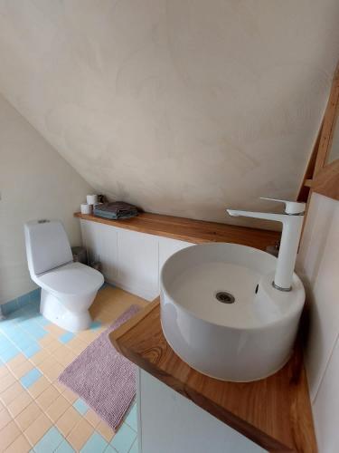 Lepikum�e Holiday Home