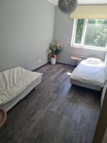 Holiday Apartment