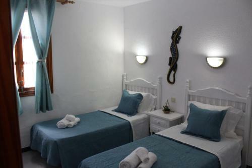 Casa Alice Cocosol