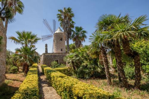 Ariany - 3940, Mallorca