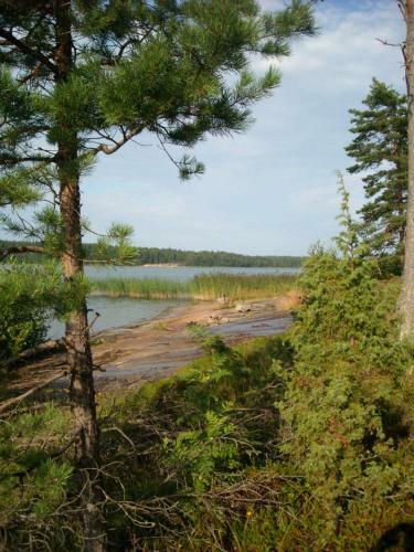 Uttis Home Cottages & Camping