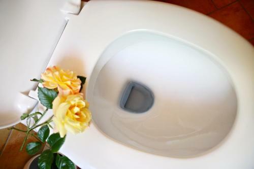 Rh�n Hotel Waldcaf� St. Georg