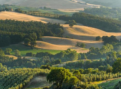 Bed & Breakfast Locanda Di Casalmustia