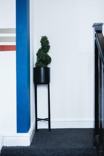 Kandaka-modern Apartment
