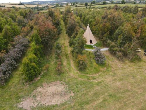 Gumtree Tipis