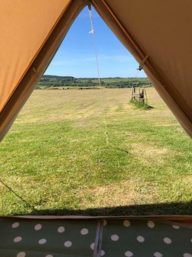 Crooked Oaks Bell Tent Glamping In North Devon