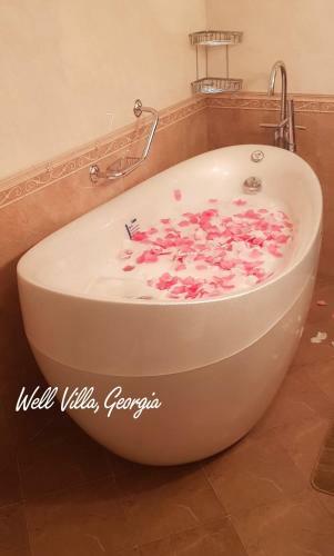 Well Villa Georgia