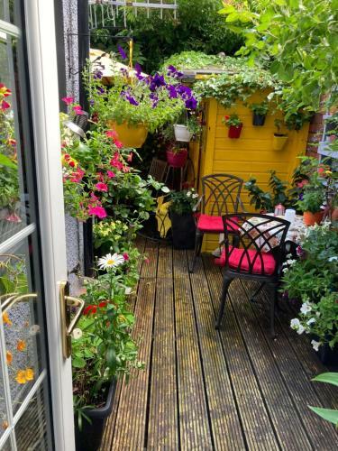 Mountroyal Victorian Studio Self Catering Apartment