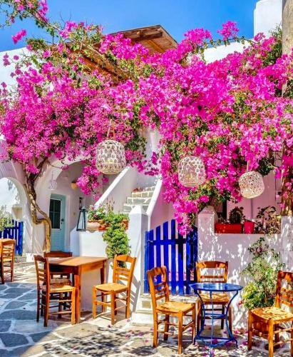 Apartamento Nostos II