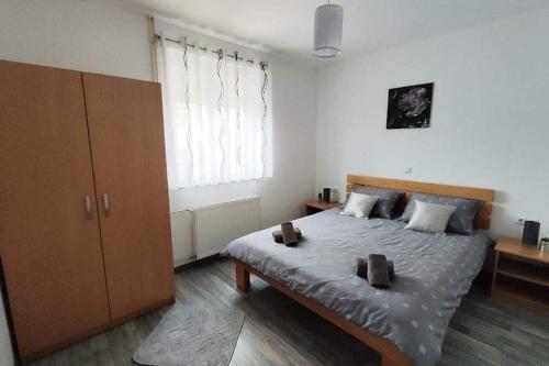 Apartment Msn