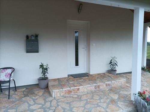 Apartment Msn