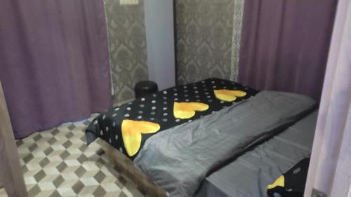 Apartamento ???????? ? ??????! ????? ?????? 150 ????? ?? ????!