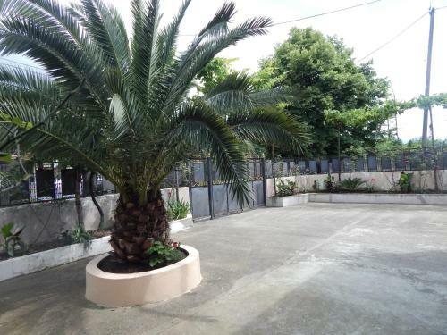 Hostal 400 Meters From The Sea