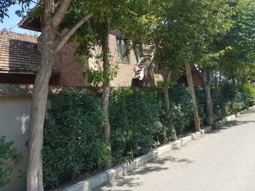 Villa Rare House With Garden