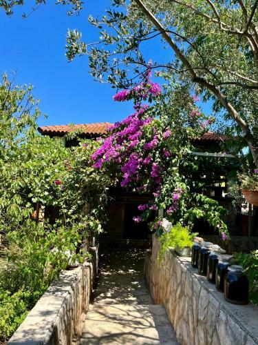 Gorana Apartman With Swimming Pool