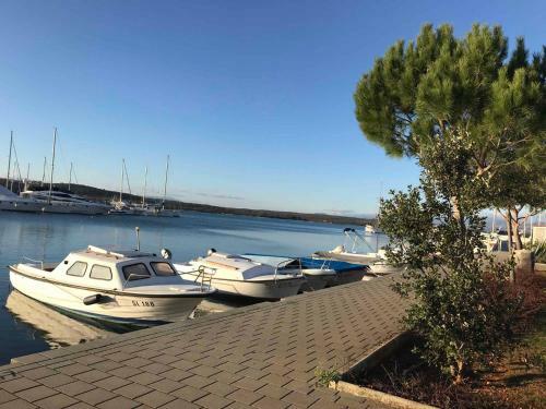 Apartment In Klimno - Insel Krk 42628