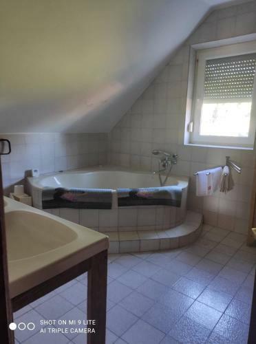 Labdarozsa Apartmanhouse
