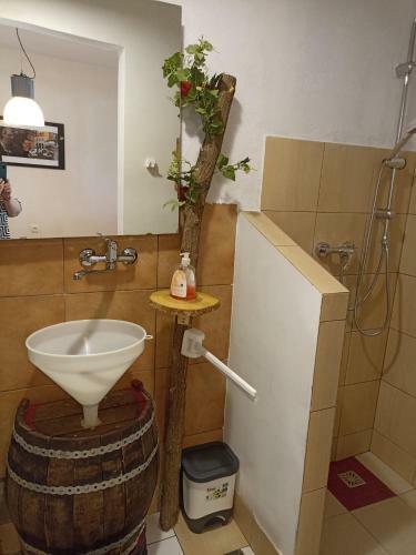 Apartamento Uj Vilag