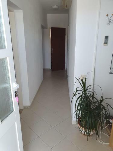 Apartamento Appartments Elli