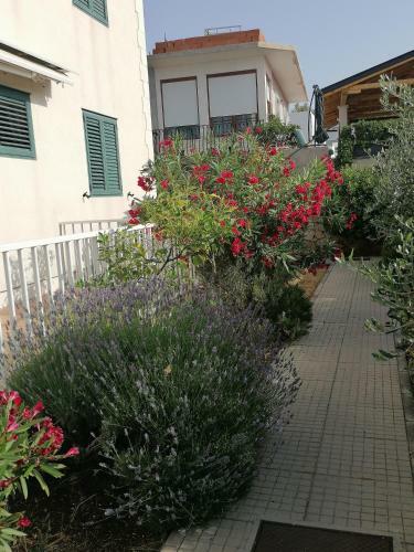 Apartman Ella
