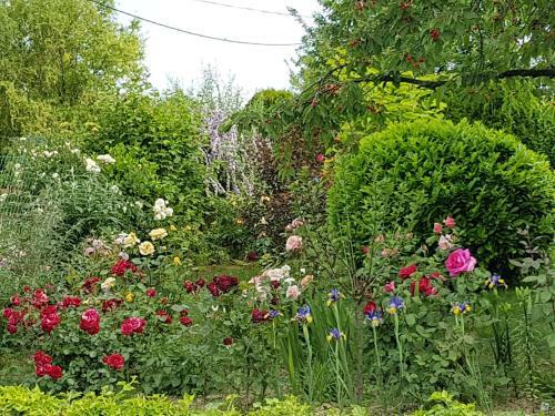 Hostal Ginavilla