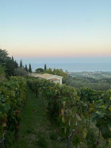 Bed & Breakfast Cirimingiano