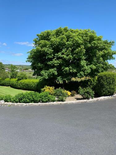Hostal Kilcarragh House