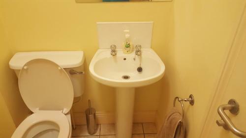 Hostal Coiribe House B&selfbreakfast