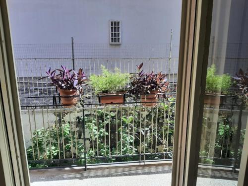 Interno 13