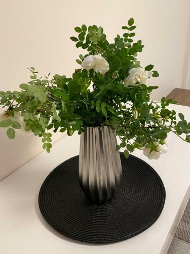 Apartamento Butas Senamiestyje