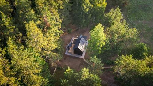 'vir? ??uol?' - Forest Spa - Horses - 'brendis'