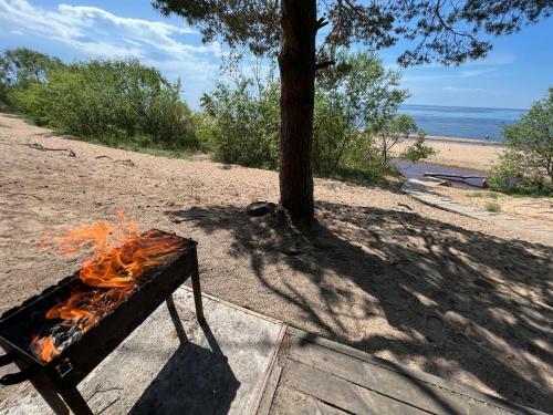 New Exclusive 2bd Apartment By The Sea