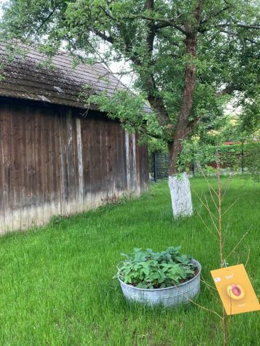 Villa Gospodarstwo Przy Drodze.