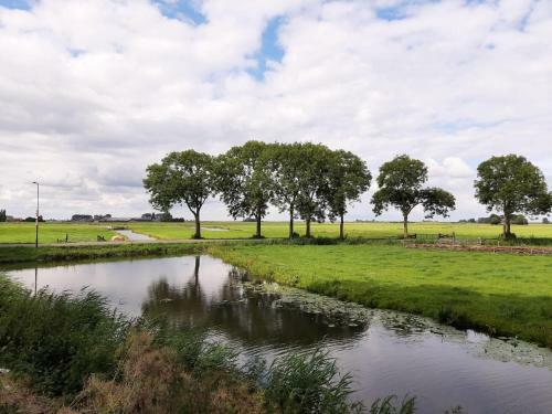 Attractive Holiday In Edam With Garden