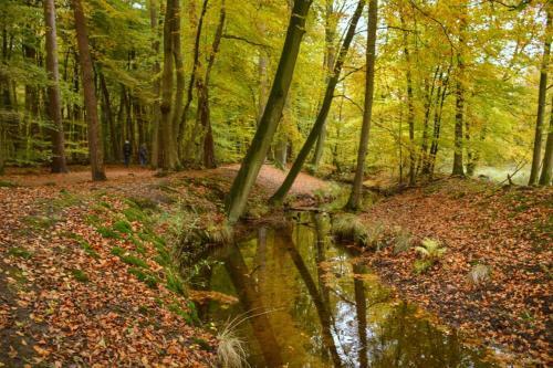 Posada Herberg De Zwaan Elspeet
