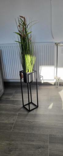 Apartman Bajka