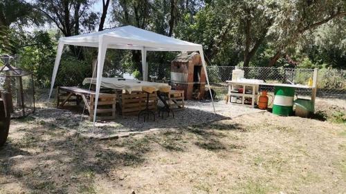 Exit Campsite On Danube Coast