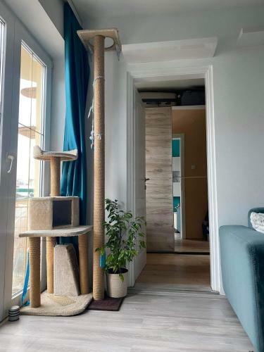 Turquoise Apartment