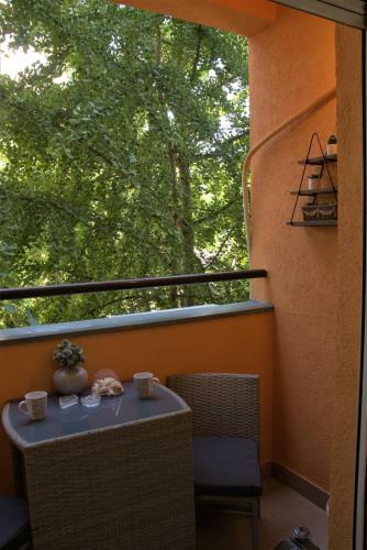 Novi Sad Apartman Tenigo