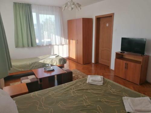 Hostal Pensiunea Cezara