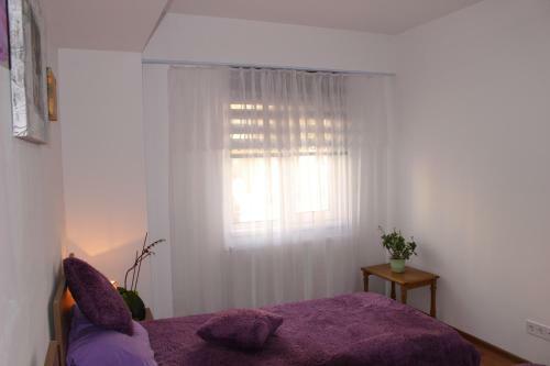 Still Apartament