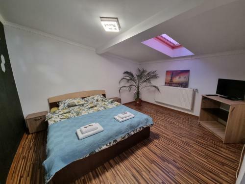 Apartament Cornitoiu