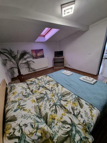 Apartament Cornitoiu
