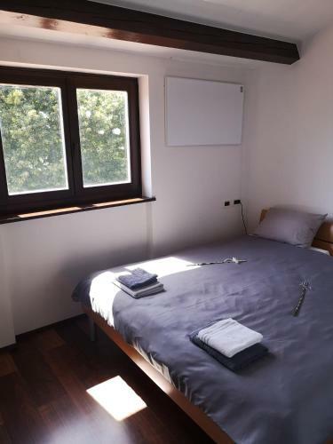 Apartma Rok