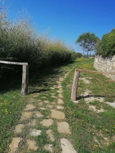 Apartamento Villa Cedole Etno Chick