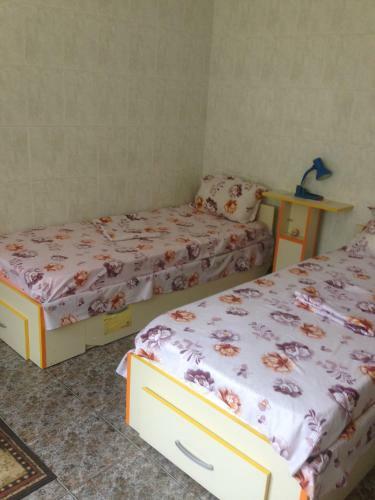 Apartament Central