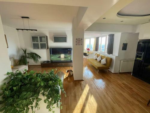 Riviera Apartment
