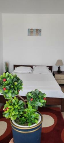 Apartamento Sunflower?ciresica?mamaia